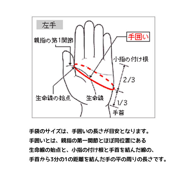 【ネコポス送料無料】ミズノMIZUNO野球グローバルエリートZeroSpace両手用ユニセックス1EJEA225バッティンググローブバッテ