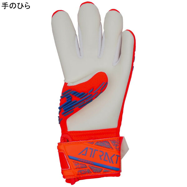 【ショップ限定エントリーでさらに+9倍】ロイシュreuschアトラクトフリーゲルシルバージュニア5462235-2210サッカーGKグローブハイパーオレンジ