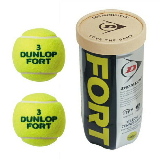 ダンロップDUNLOP硬式テニスボールフォートFORT2個入ボトル試合球安定感打球感2個入DFFYL2