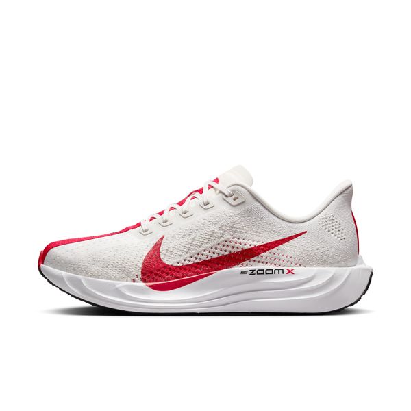 ナイキNIKEメンズランニングシューズペガサスプラスマラソンジョギングNEWカラーFQ7262-003