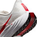 ナイキNIKEメンズランニングシューズペガサスプラスマラソンジョギングNEWカラーFQ7262-003