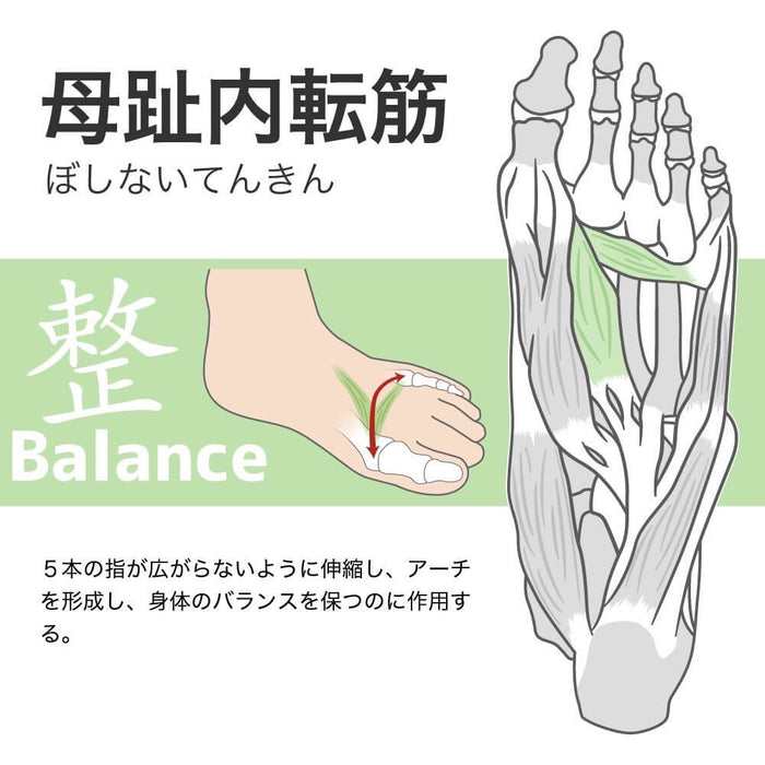 アクティバイタルプロファイブサッカーソックスActivitalPROフットサポーター5本指HRD1065HRD1066サッカーフットサルメンズジュニア