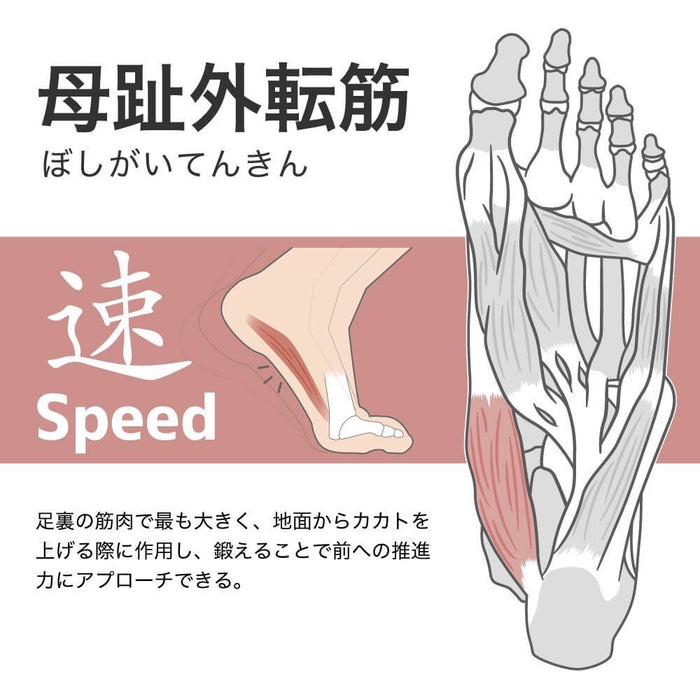 アクティバイタルプロファイブサッカーソックスActivitalPROフットサポーター5本指HRD1065HRD1066サッカーフットサルメンズジュニア