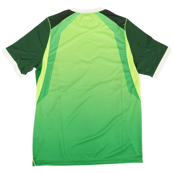 ナイジェリア代表NFF2026レプリカホームユニフォーム半袖IB5308-302サッカー半袖パイングリーンナイキNIKE