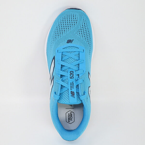 ニューバランスNewBalanceメンズランニングシューズFreshFoam520v9フレッシュフォーム520v9マラソンジョギングM5205ED-4E