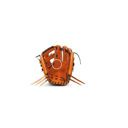 【ショップ限定エントリーでさらに+9倍】ウィルソンWilson野球軟式グラブデュアルD5内野手用25SSD5型WBW102977