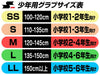 【ショップ限定エントリーでさらに+9倍】エスエスケイSSK少年野球軟式グラブウインドリームWJG324オールラウンド用ジュニアグローブMサイズ
